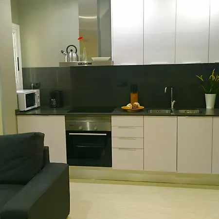Apartman Rustic